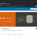 WP Optimize